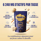 NOOTY Focus & Équilibre