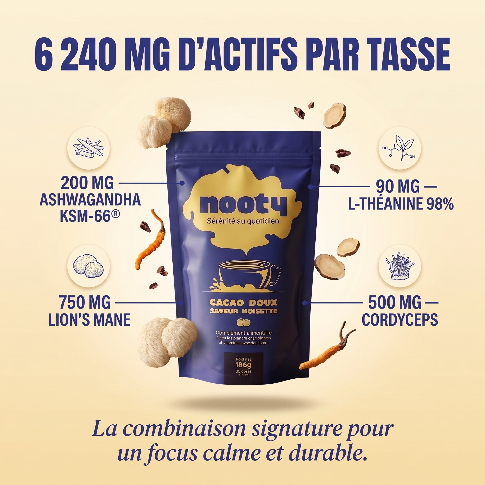 NOOTY Focus & Équilibre