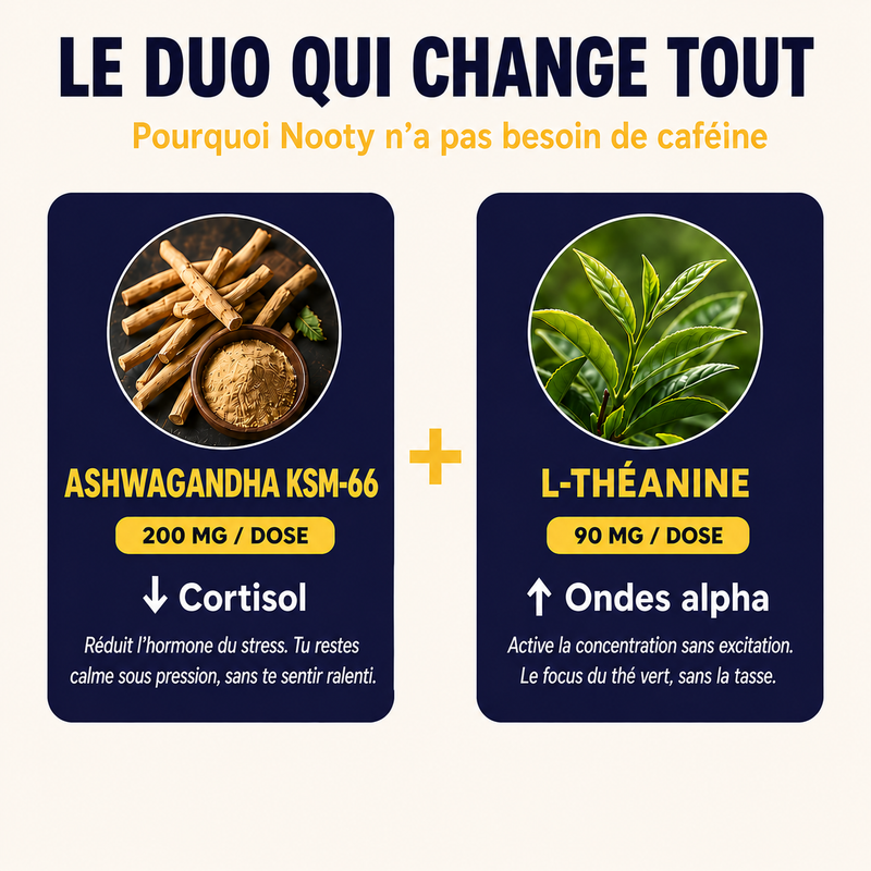 NOOTY Focus & Équilibre